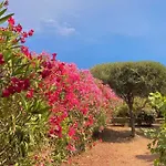 Unforgettable Stopover -corsicasublime Sea View Apartman *