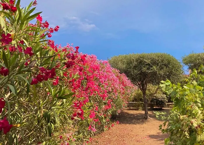 Unforgettable Stopover -corsicasublime Sea View Apartment *