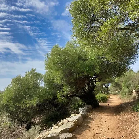 Appartement Unforgettable Stopover -corsicasublime Sea View