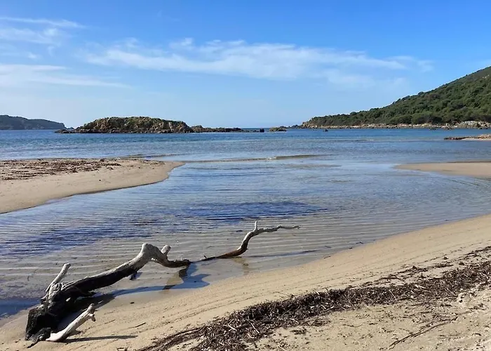 Unforgettable Stopover -corsicasublime Sea View Appartement