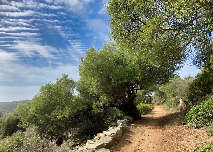 Appartement Unforgettable Stopover -corsicasublime Sea View